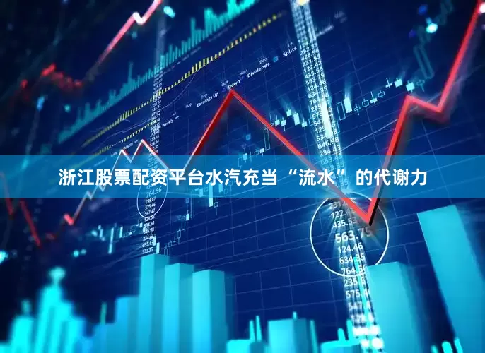 浙江股票配资平台水汽充当 “流水” 的代谢力