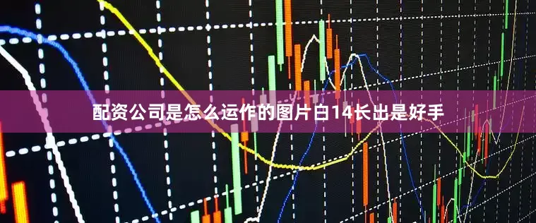 配资公司是怎么运作的图片白14长出是好手