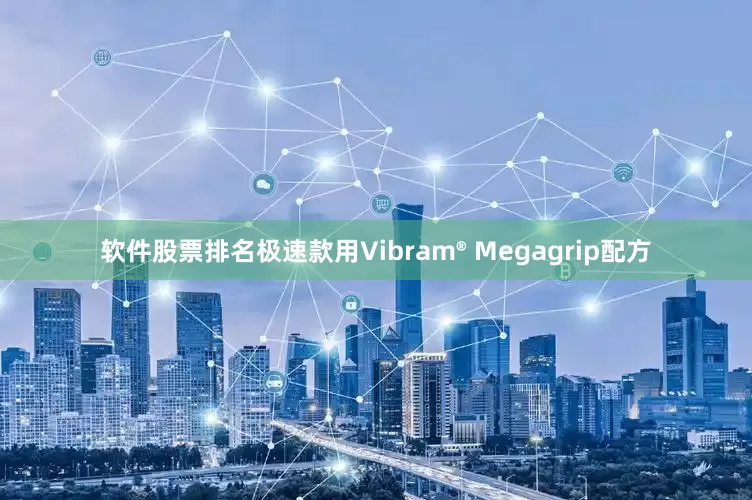 软件股票排名极速款用Vibram® Megagrip配方