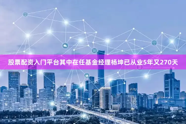 股票配资入门平台其中在任基金经理杨坤已从业5年又270天