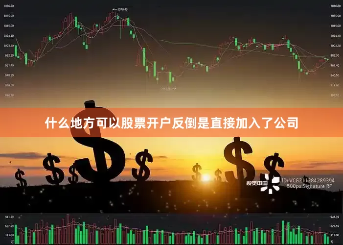 什么地方可以股票开户反倒是直接加入了公司